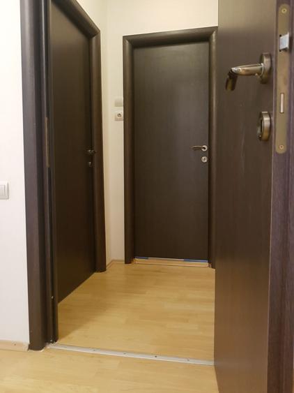Apartament 2 Camere deInchiriat In Dorobanti - 12