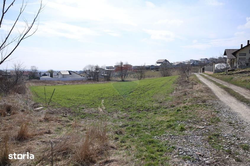 Teren de 3500 mp, în Moara