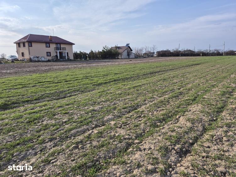 Teren de 4999 mp, în Tărtășești