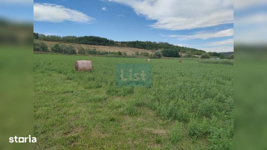 Teren de 22400 mp, în Iclod
