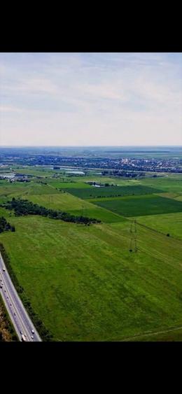 Teren agricol extravilan de 300000 mp, în Florești-Stoenești
