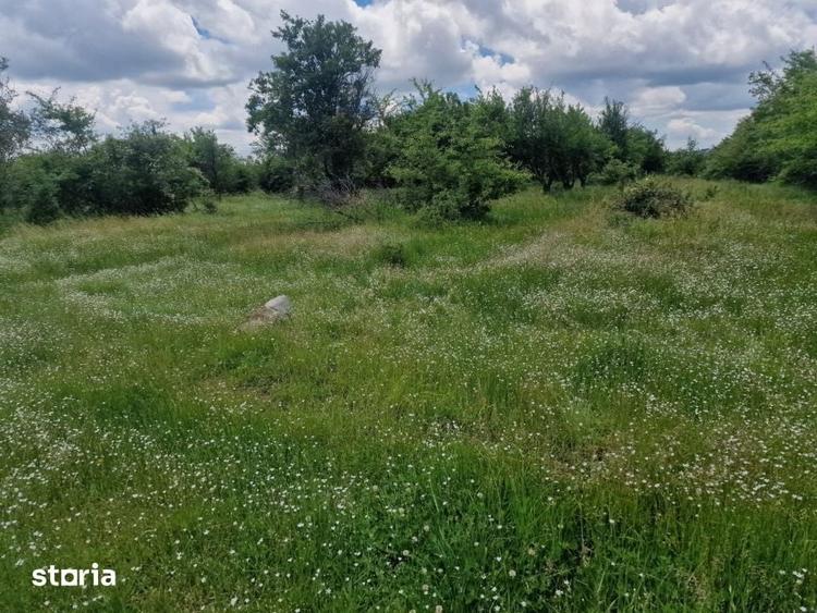 Teren de 3006 mp, în Mărășești