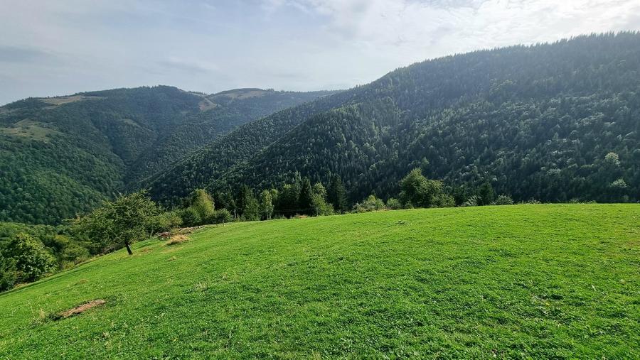 Teren Construcții intravilan de 2300 mp, în Măguri-Răcătău
