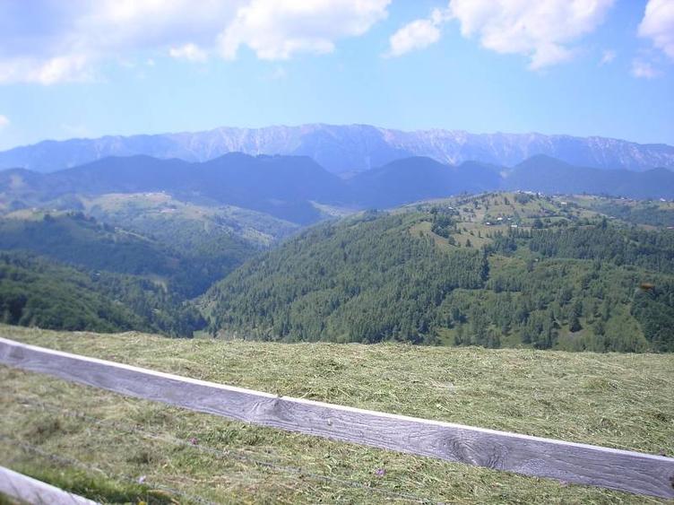 Teren intravilan de 3700 mp, în Moieciu de Jos