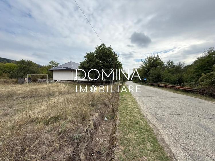 Teren Construcții intravilan de 13000 mp, în Runcu