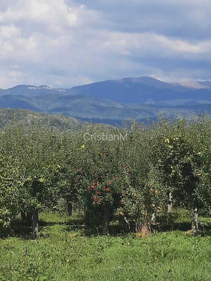 TEREN EXTRAVILAN 6.700 MP Miclosanii Mari, Dambovita | Potential pentru INVESTITIE TURISTICA