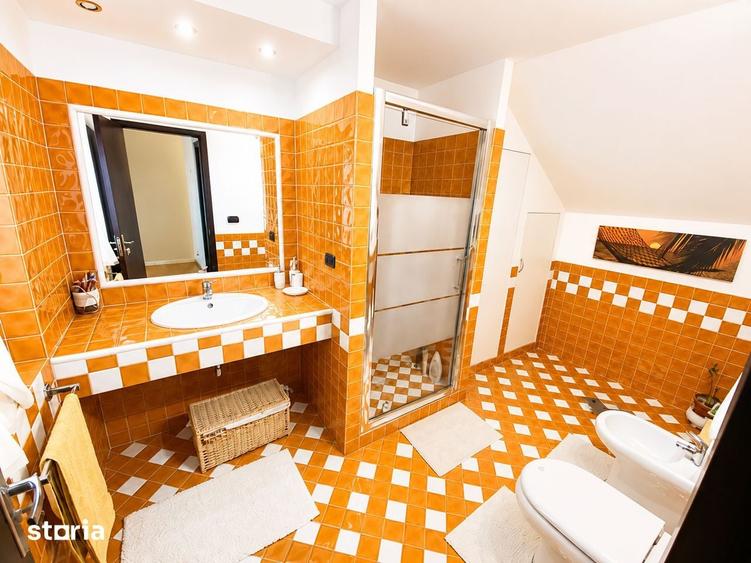 PROPRIETATE REMARCABILA LA CATIVA PASI DE BAILE FELX! - 18