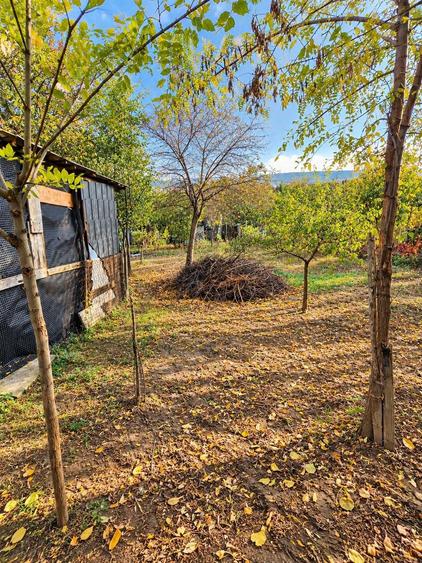 Casă cu 4 camere cu Teren 599 Mp în Central