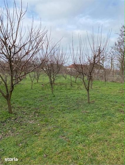 EXCLUSIVITATE ! Casa pe 3 etaje de vanzare in Cenad la pret de apartam - 16