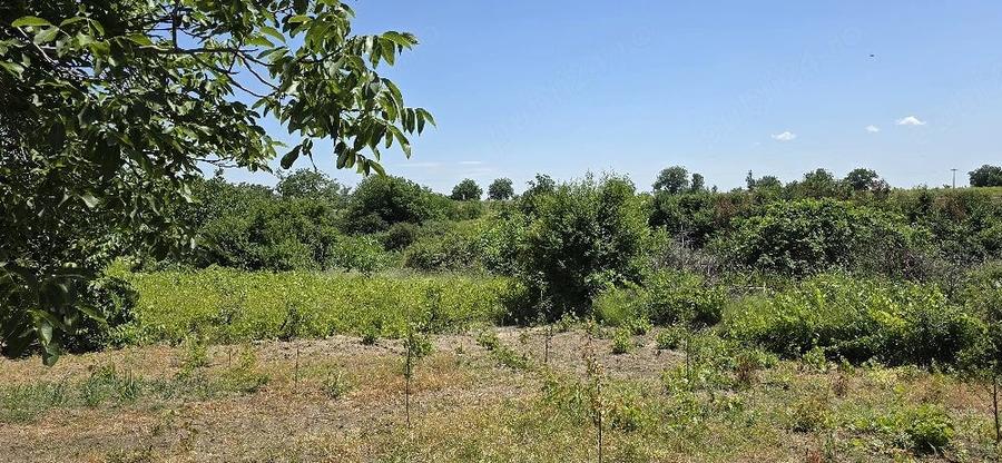 Teren de 2072 mp, în Stăncești