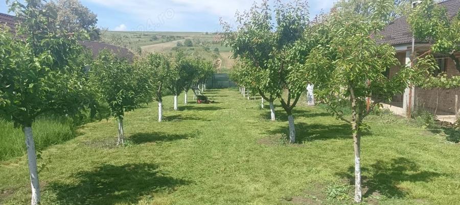Casă cu 3 camere în Cepești