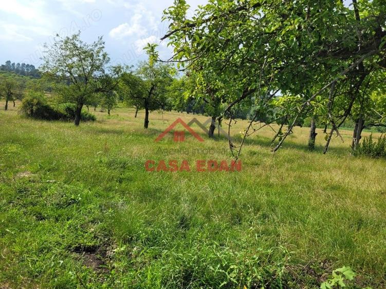 Casă cu Teren 1490 Mp în Voila