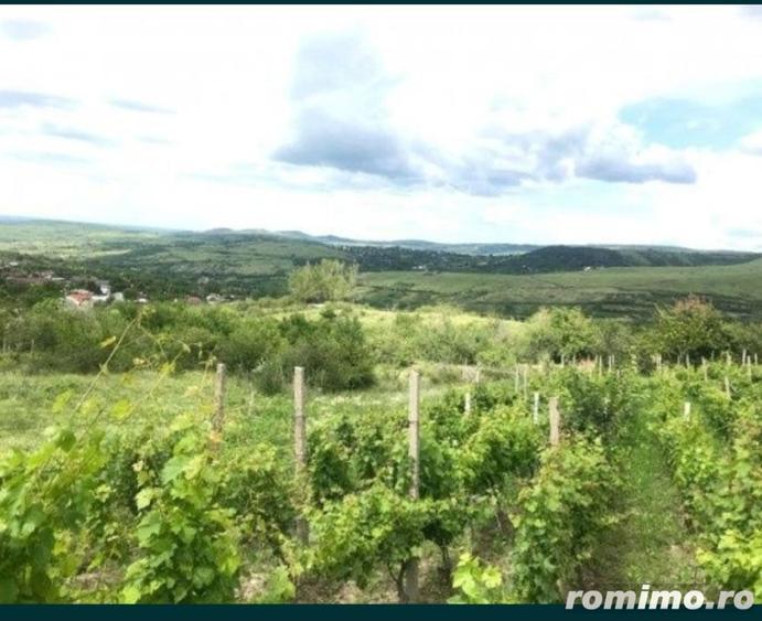 Teren de 1700 mp, în Vispești