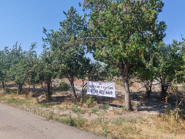 Teren agricol intravilan de 9795 mp, în Rădoiești