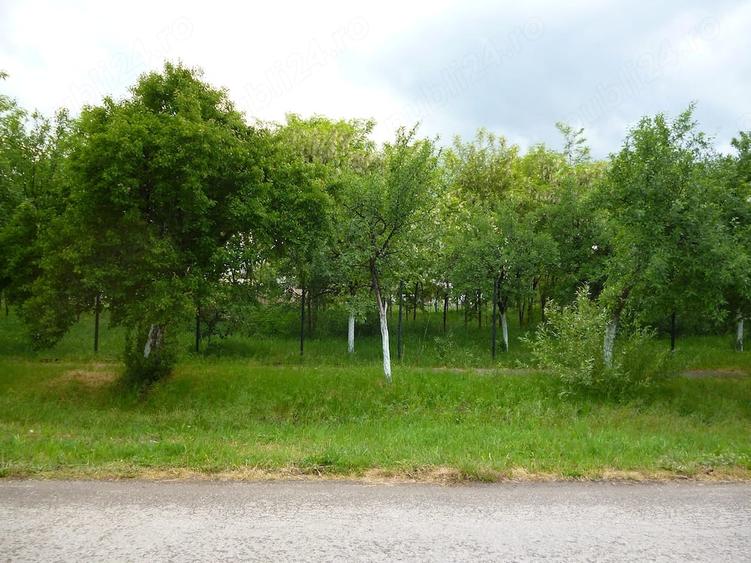Teren de 557 mp, în Cenad