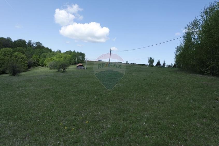 Teren extravilan de 15726 mp, în Preluca Nouă
