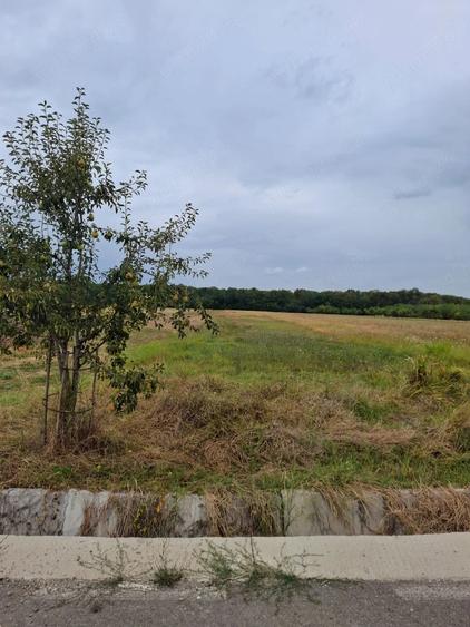 Teren de 2500 mp, în Lucieni