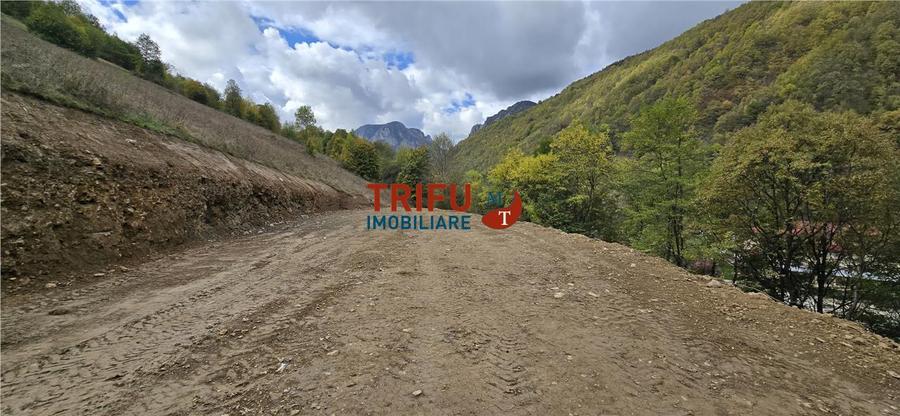 Teren intravilan de 15000 mp, în Râmeț