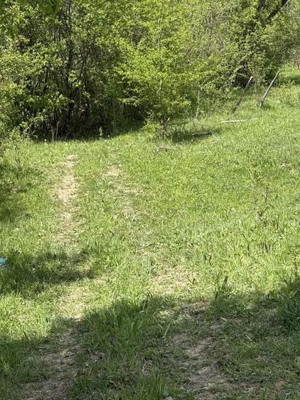 Teren Construcții intravilan de 2440 mp, în Valea Târsei