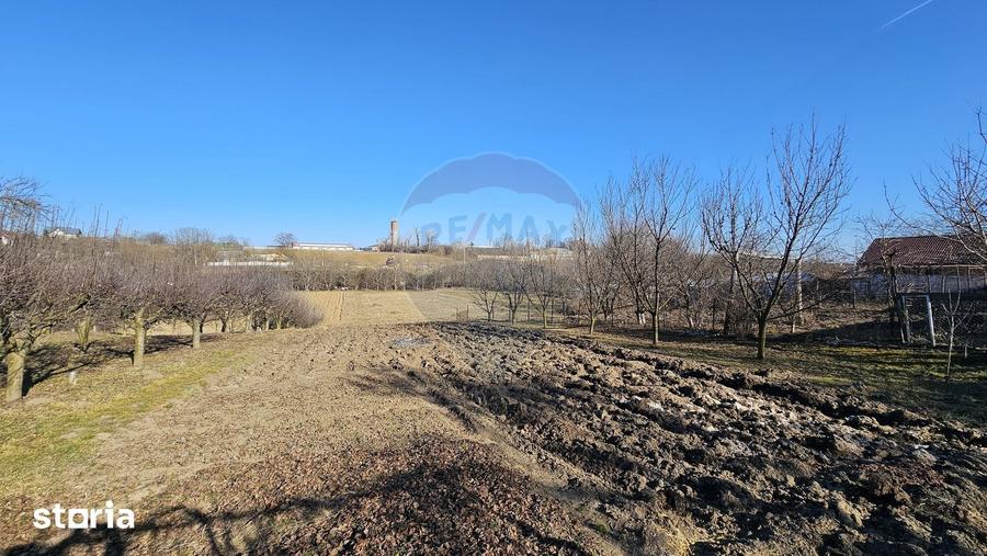 Casă cu 3 camere cu Teren 4900 Mp în Central