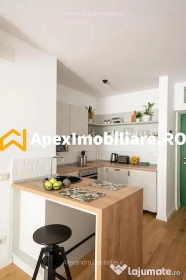 Apartament 2 camere de inchiriat Herastrau Bucure?ti | Apex - 9