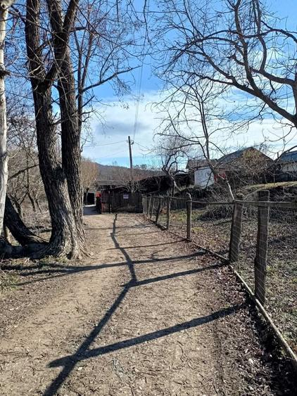 Casă cu 2 camere în Central