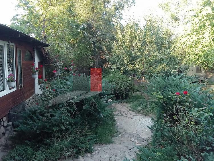 Vanzare teren intravilan Dara?ti-Vla?ca - 14