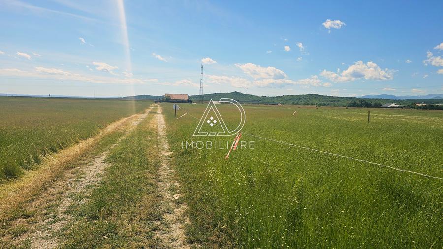 Teren agricol extravilan de 300 mp, în 9 Mai