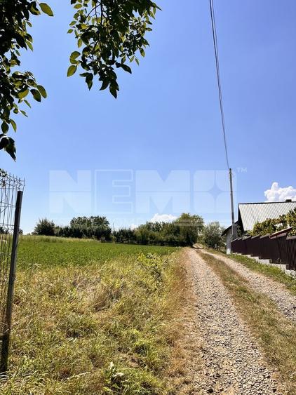 Teren agricol intravilan de 2526 mp, în Tișăuți
