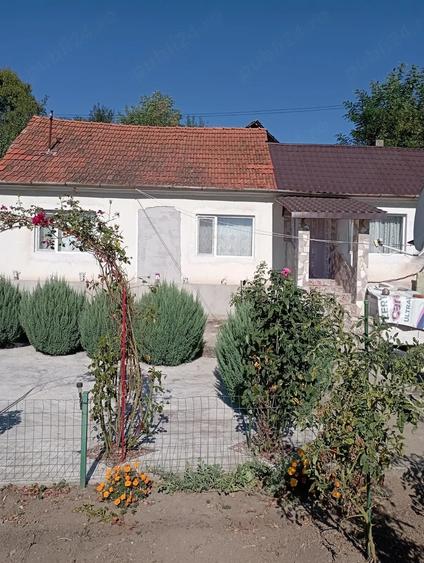 Casă cu 2 camere cu Teren 1000 Mp în Sârbi