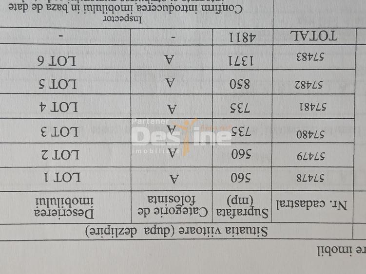 Teren Construcții intravilan de 735 mp, în Alexandru cel Bun