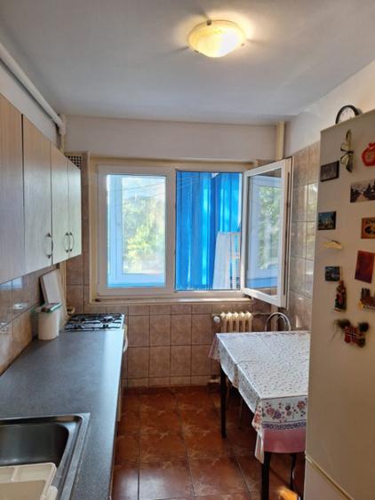 Apartament cu 2 camere semidecomandat, mobilat în Pajura