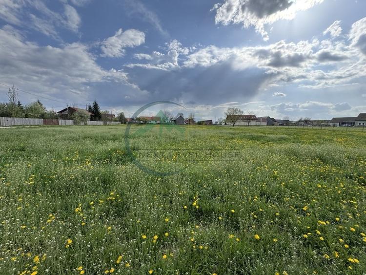 Teren Construcții intravilan de 6179.009765625 mp, în Băcel