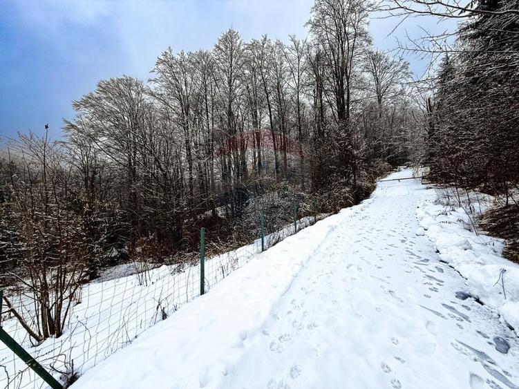 Teren Construcții intravilan de 1794 mp, în Moroeni