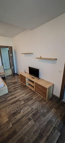 Garsonieră decomandată în Olteni