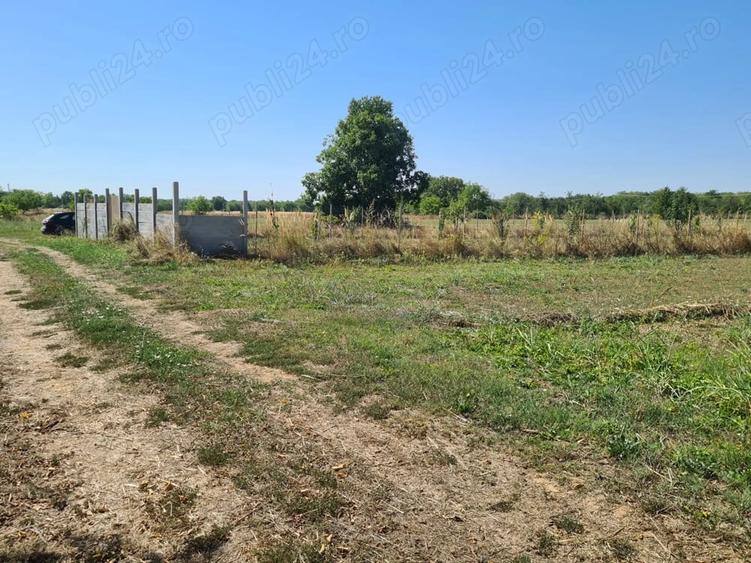 Teren de 5000 mp, în Central