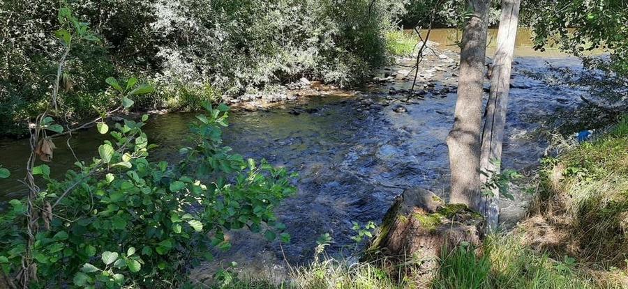 Teren de 3943 mp, în Negreni