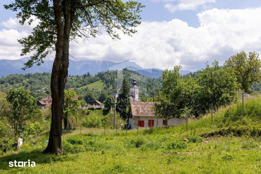 Teren de 11381 mp, în Moieciu