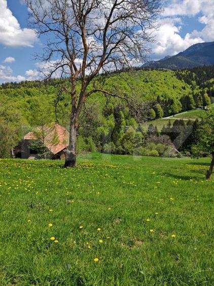 Teren Construcții intravilan de 3400 mp, în Bran