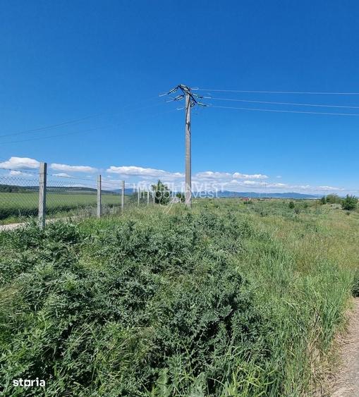 Teren Industrial in Sebes-Petresti 4.246 mp, Deschidere 123 m