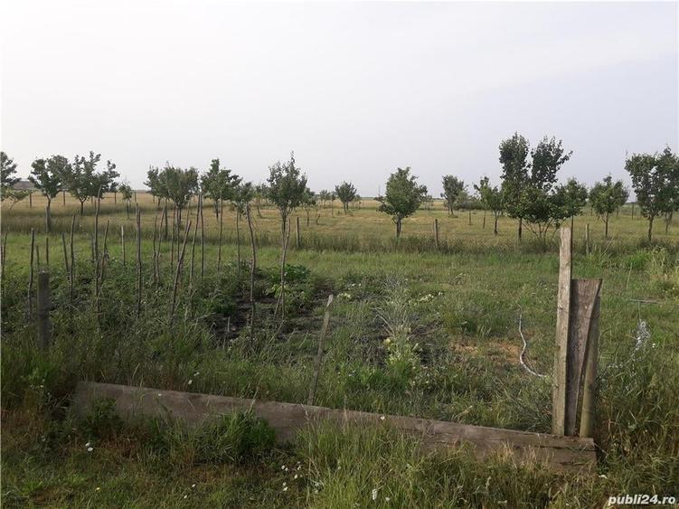 Teren de 11400 mp, în Nord