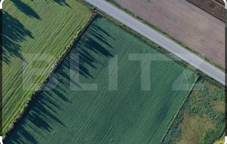 Teren Construcții intravilan de 50000 mp, în Exterior Sud