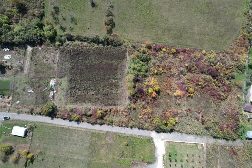 Teren Construcții intravilan de 6896 mp, în Borhanci