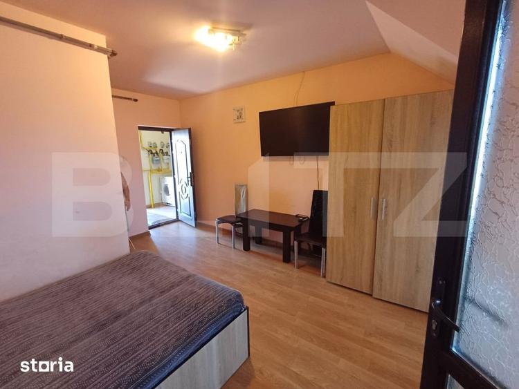 Garsonieră în Lotrului