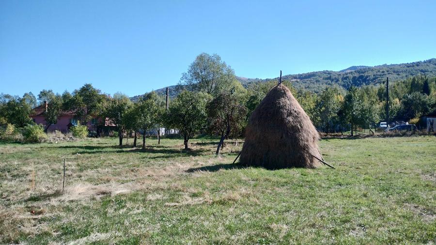 Teren de 9288 mp, în Bucova