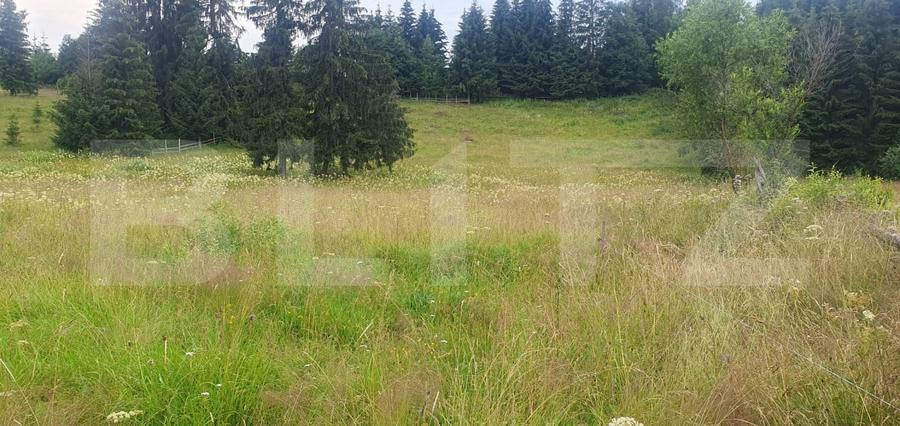 Teren Construcții intravilan de 7671 mp, în Vatra Dornei