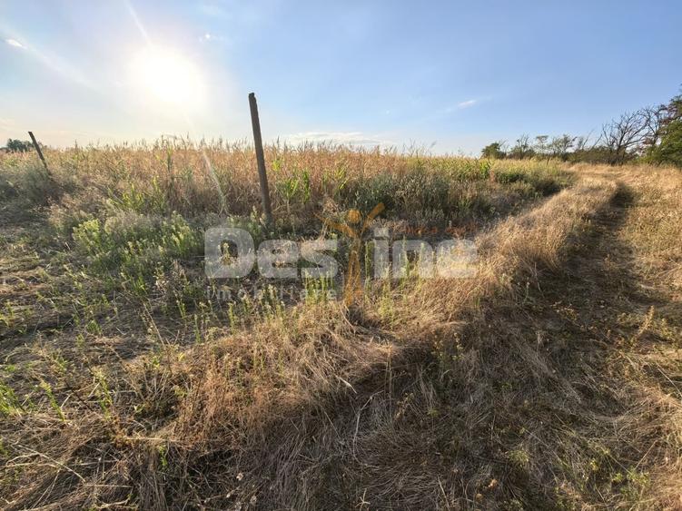Teren Construcții intravilan de 7600 mp, în Cârniceni