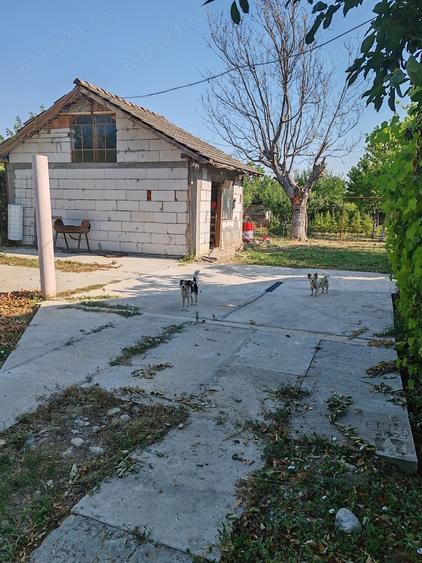 Casă cu 4 camere cu Teren 10000 Mp în Bârca