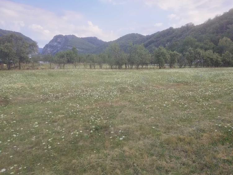 Spațiu comercial, în Polovragi