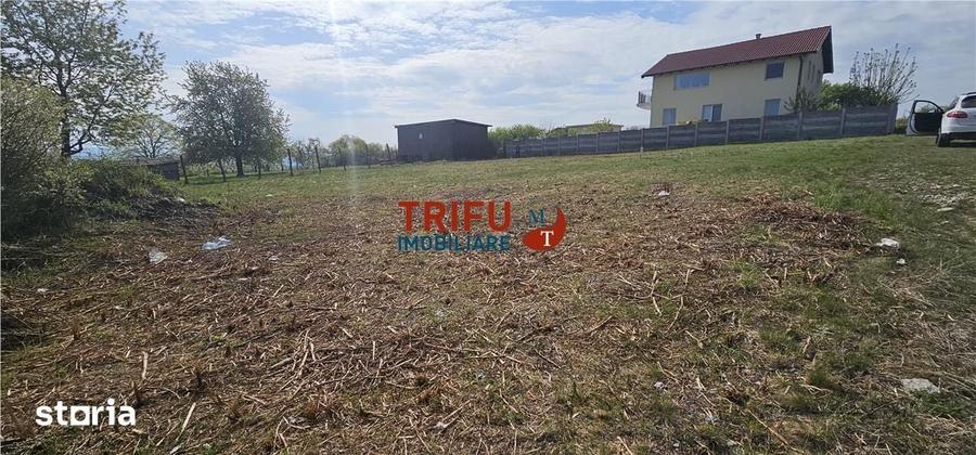 Teren de 1020 mp, în Cetate